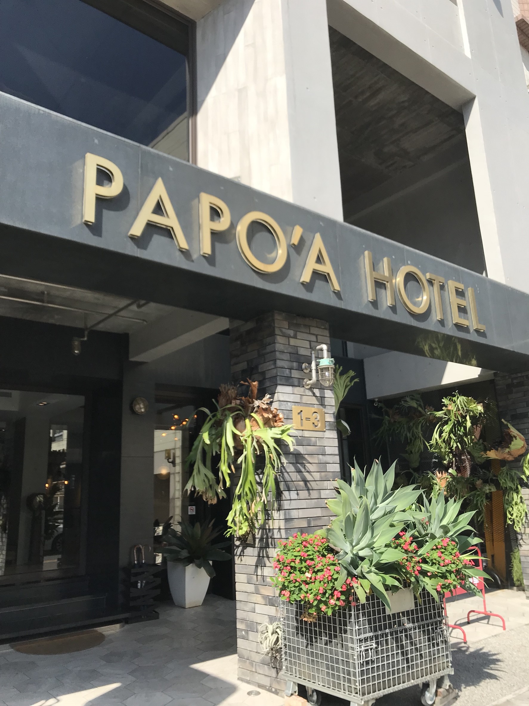 Papo'a Hotel
