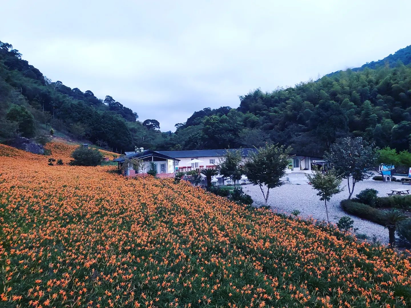 赤科山櫻之谷民宿景觀及四季周邊美景