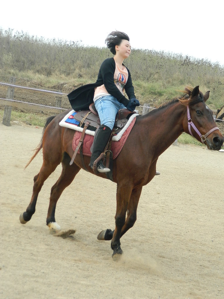 享受騎馬"駕駕"奔跑的體驗